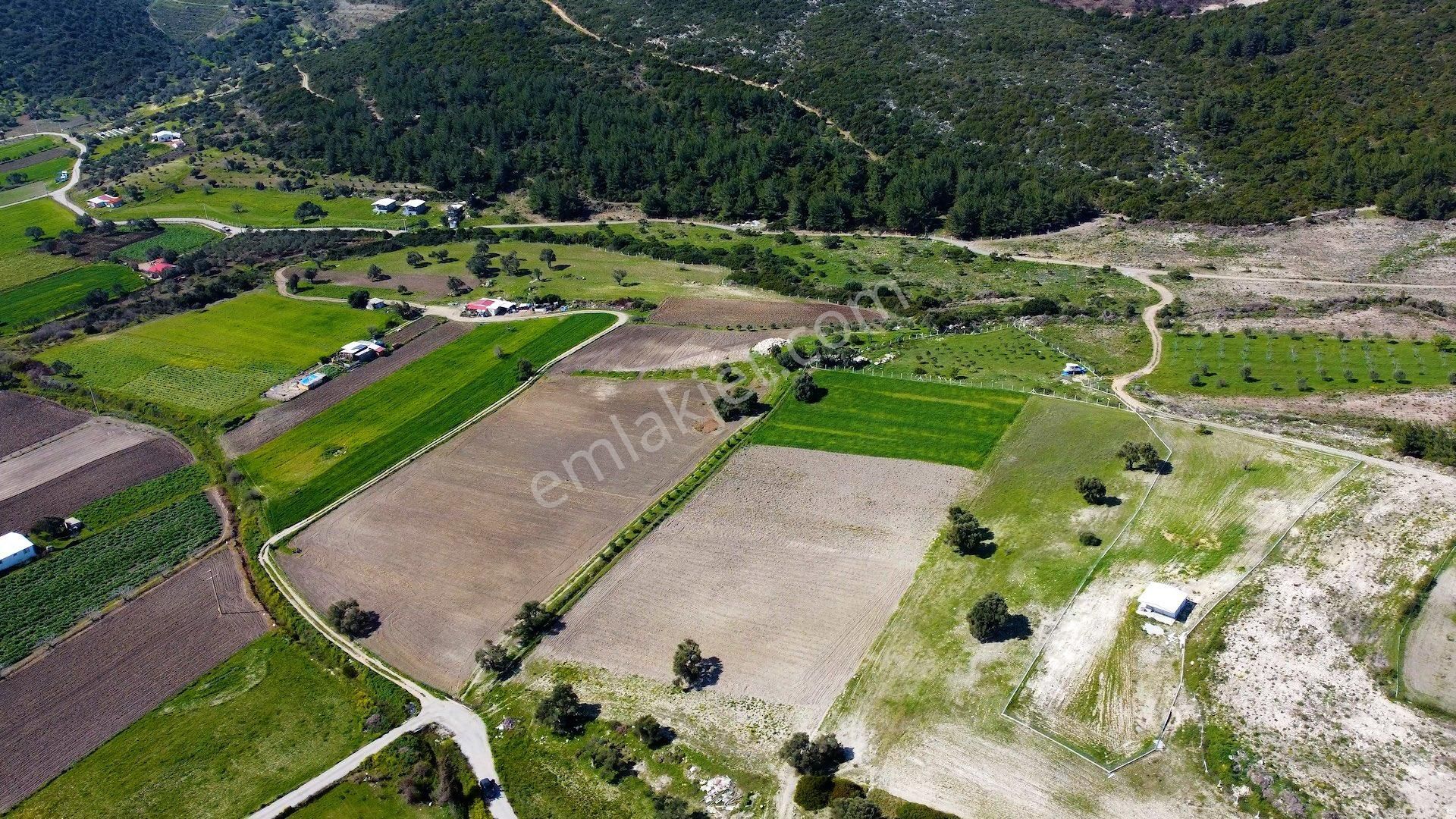 Demircilide Köye Çok Yakın Konumda Satılık Tarla - Görsel 4