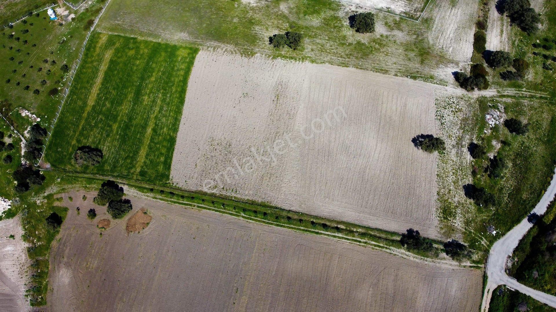 Demircilide Köye Çok Yakın Konumda Satılık Tarla - Görsel 10