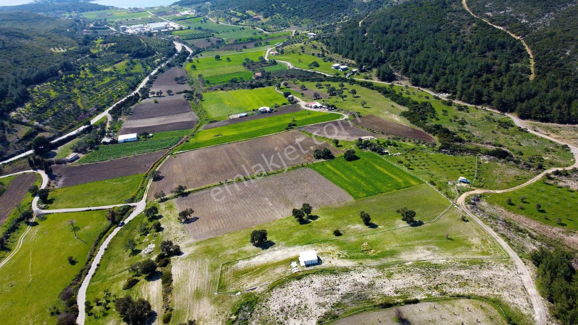 Demircilide Köye Çok Yakın Konumda Satılık Tarla - Görsel 6