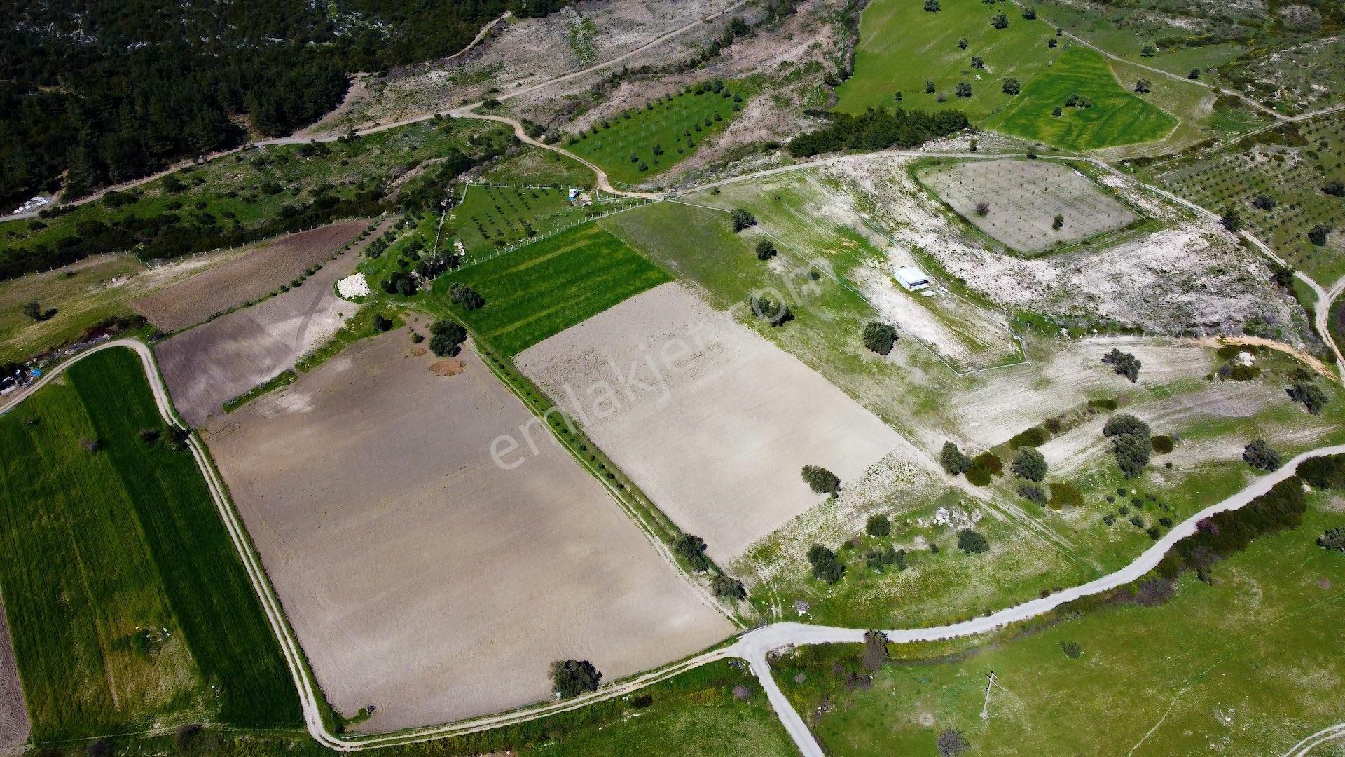 Demircilide Köye Çok Yakın Konumda Satılık Tarla - Görsel 2