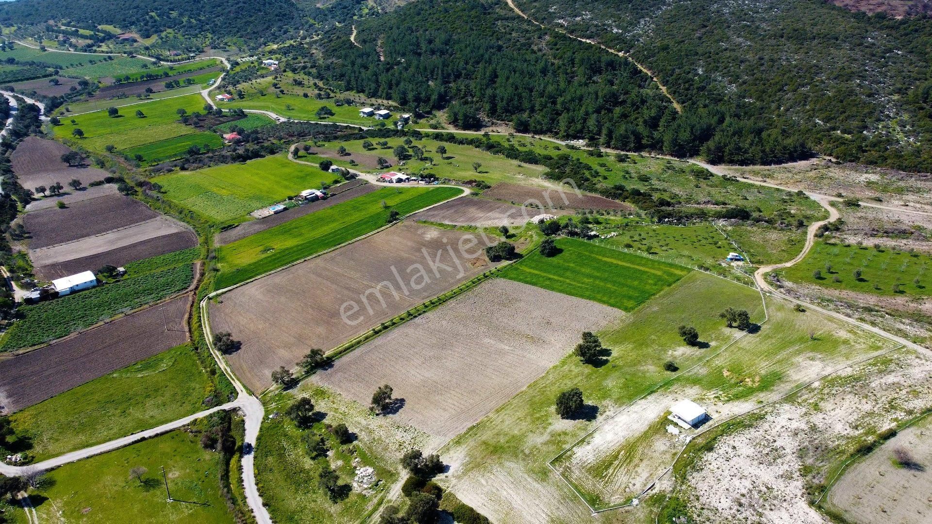 Demircilide Köye Çok Yakın Konumda Satılık Tarla - Görsel 5