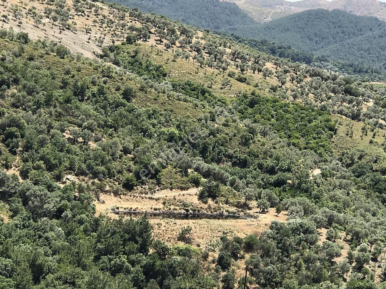 Seferihisar Gölcük Uygun Fiyatlı Yatırımlık Tarla - Görsel 3