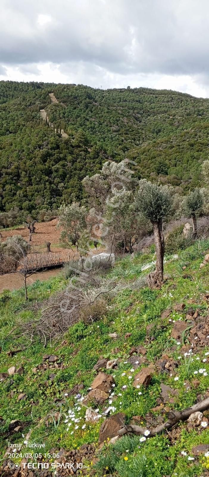 Seferihisar Gölcük Uygun Fiyatlı Yatırımlık Tarla - Görsel 6