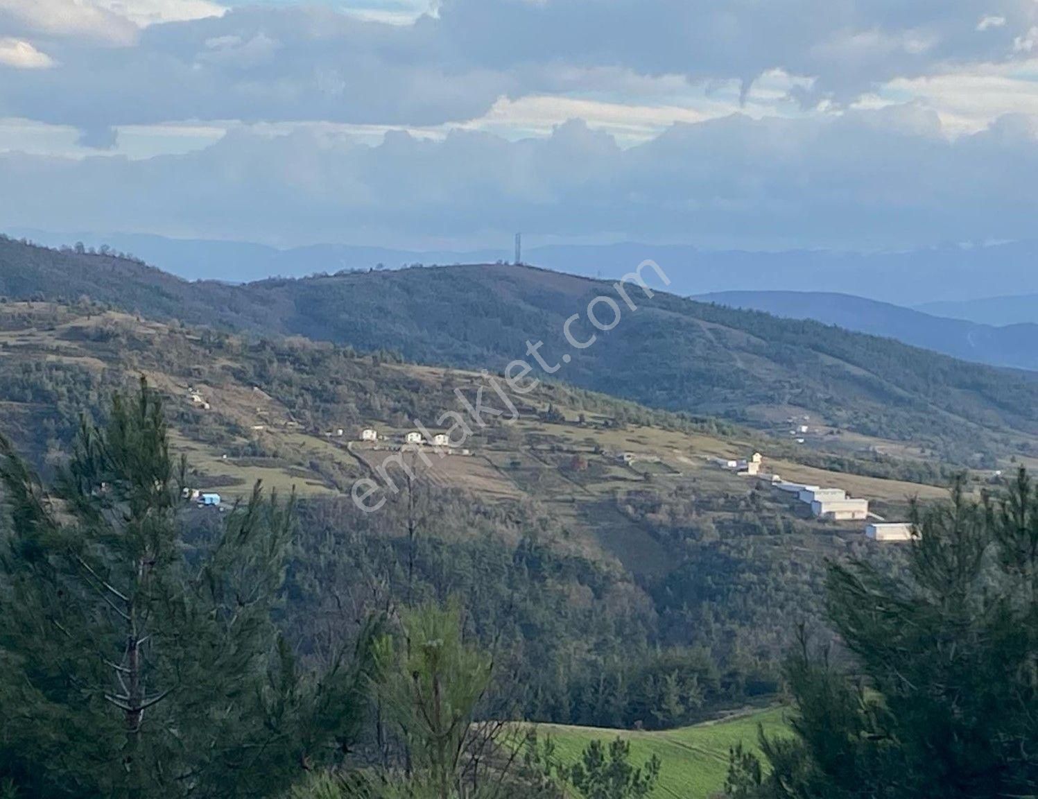 Kestel Ağlaşan Tek Tapu Kooperatif 'ges' Tarım'a Uygun Arazi - Görsel 2