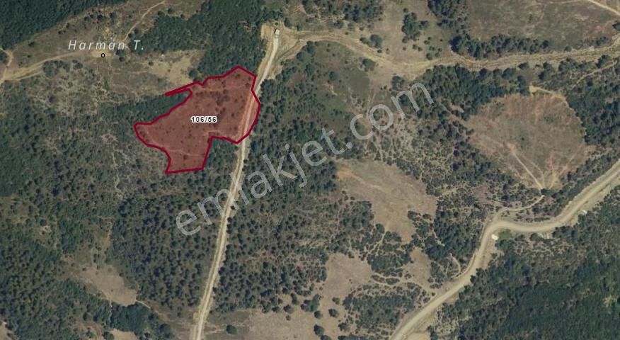 Kestel Ağlaşan Tek Tapu Kooperatif 'ges' Tarım'a Uygun Arazi - Görsel 7