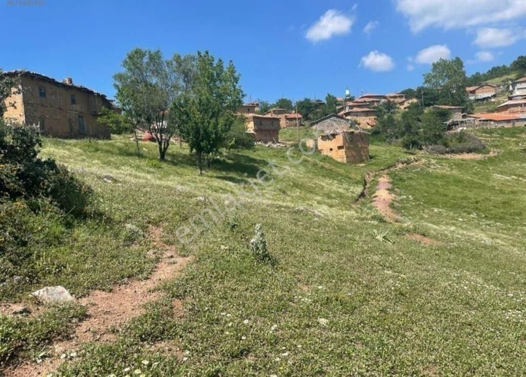 Altın Emlak'tan İznik İhsaniye Mah. %40 İmar Doğa İle İçiçe Arsa - Görsel 3