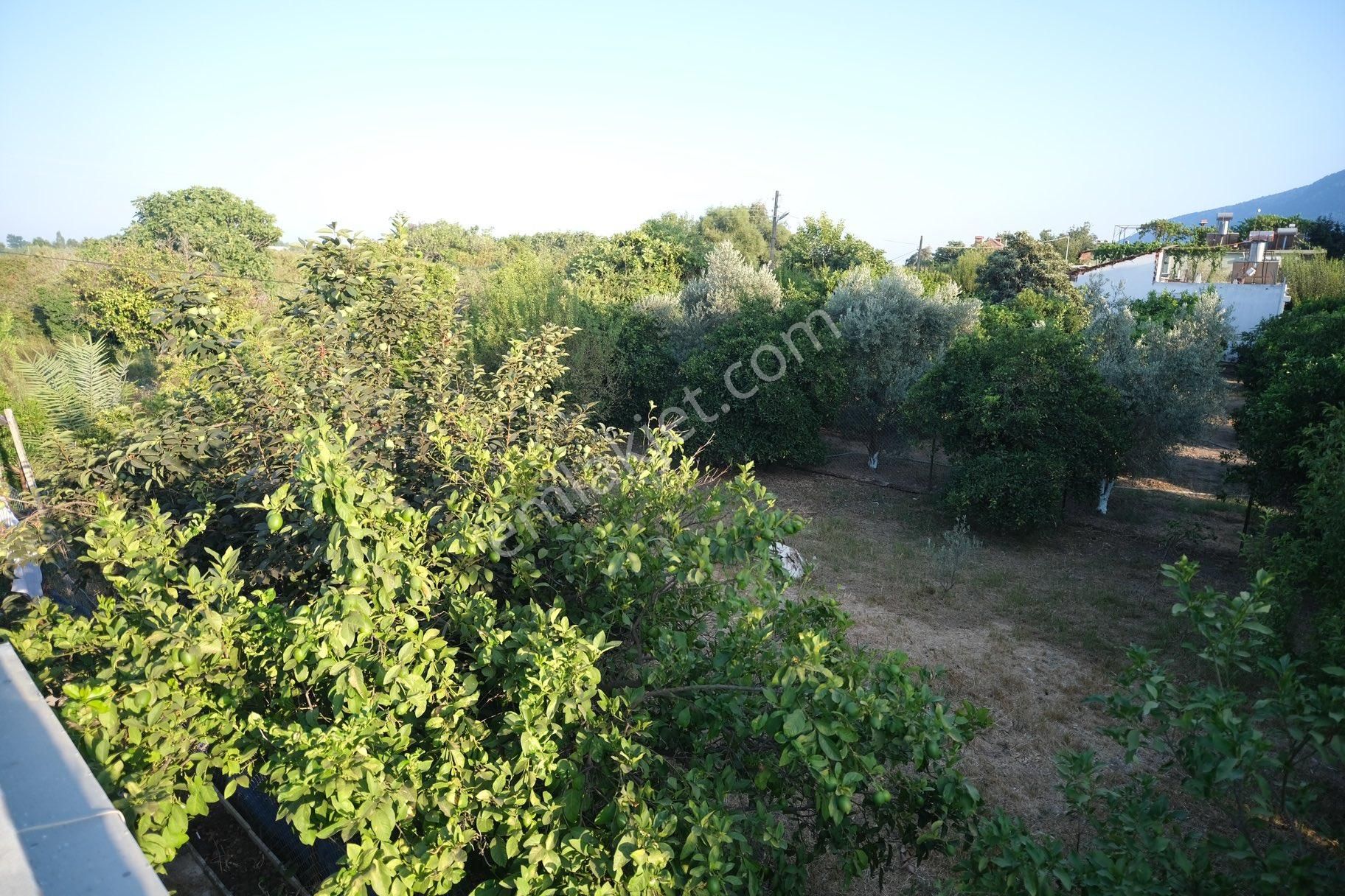 Portakal Bahçeleri İçinde Keyifli Bir Yaşam - Görsel 17