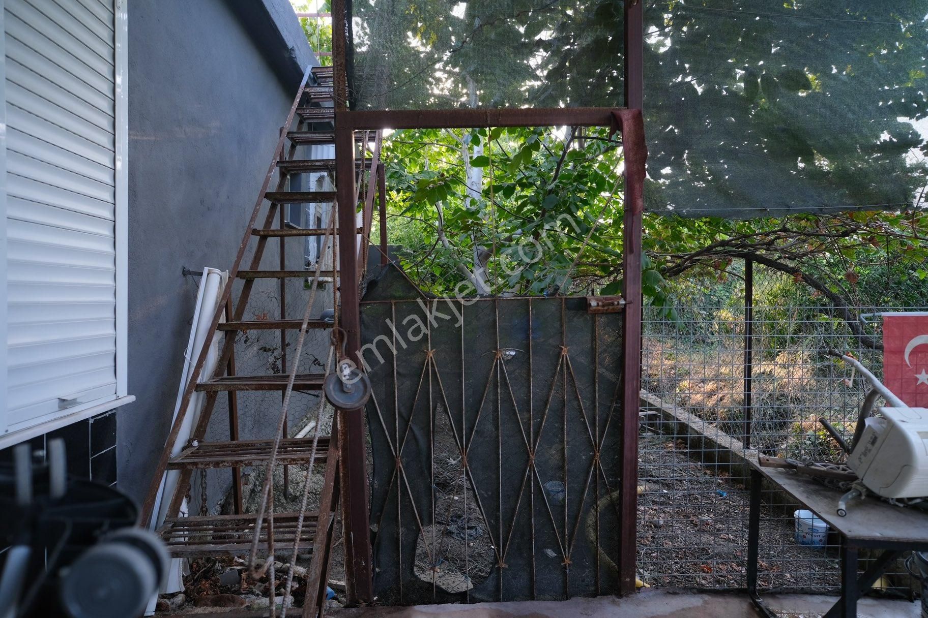 Portakal Bahçeleri İçinde Keyifli Bir Yaşam - Görsel 6