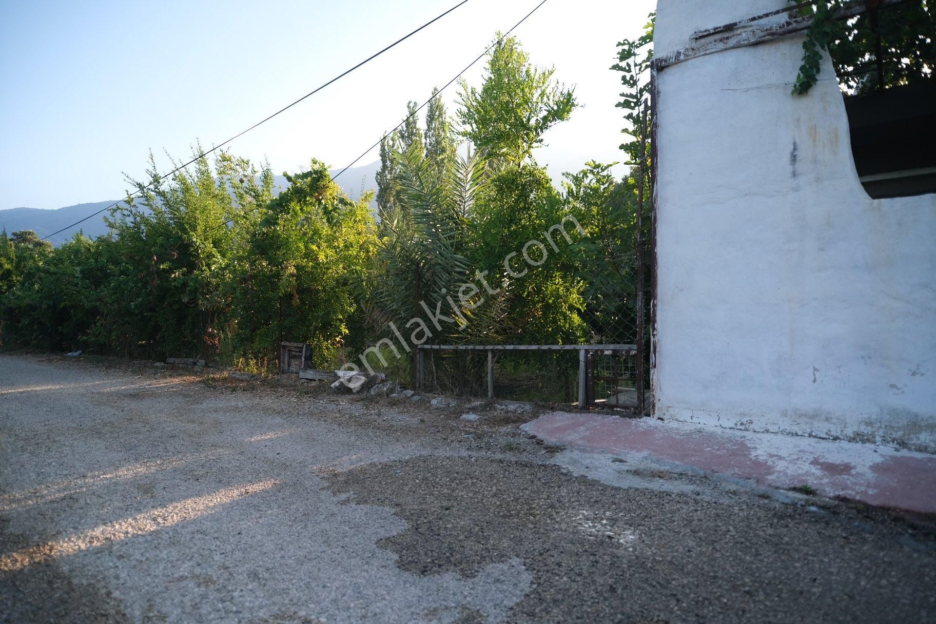 Portakal Bahçeleri İçinde Keyifli Bir Yaşam - Görsel 2