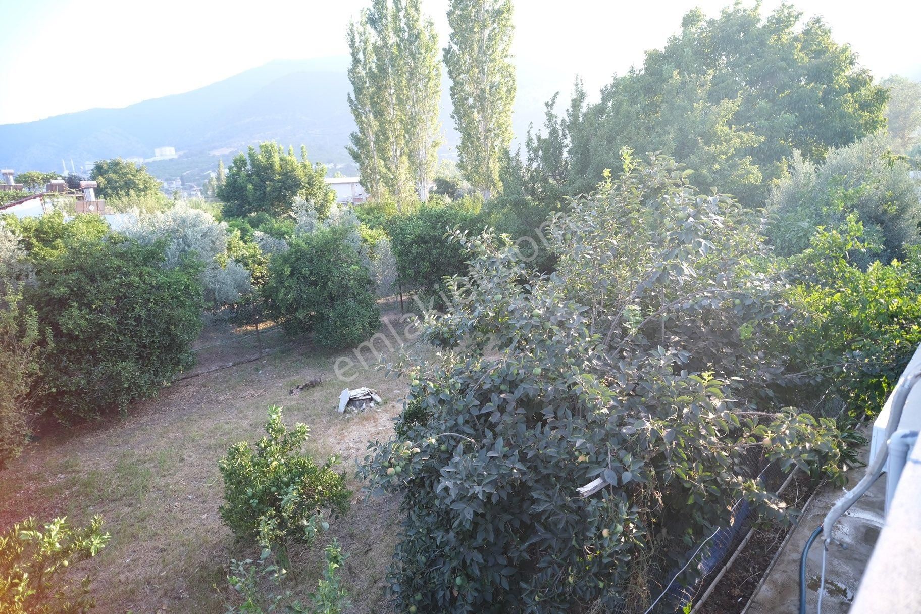 Portakal Bahçeleri İçinde Keyifli Bir Yaşam - Görsel 15