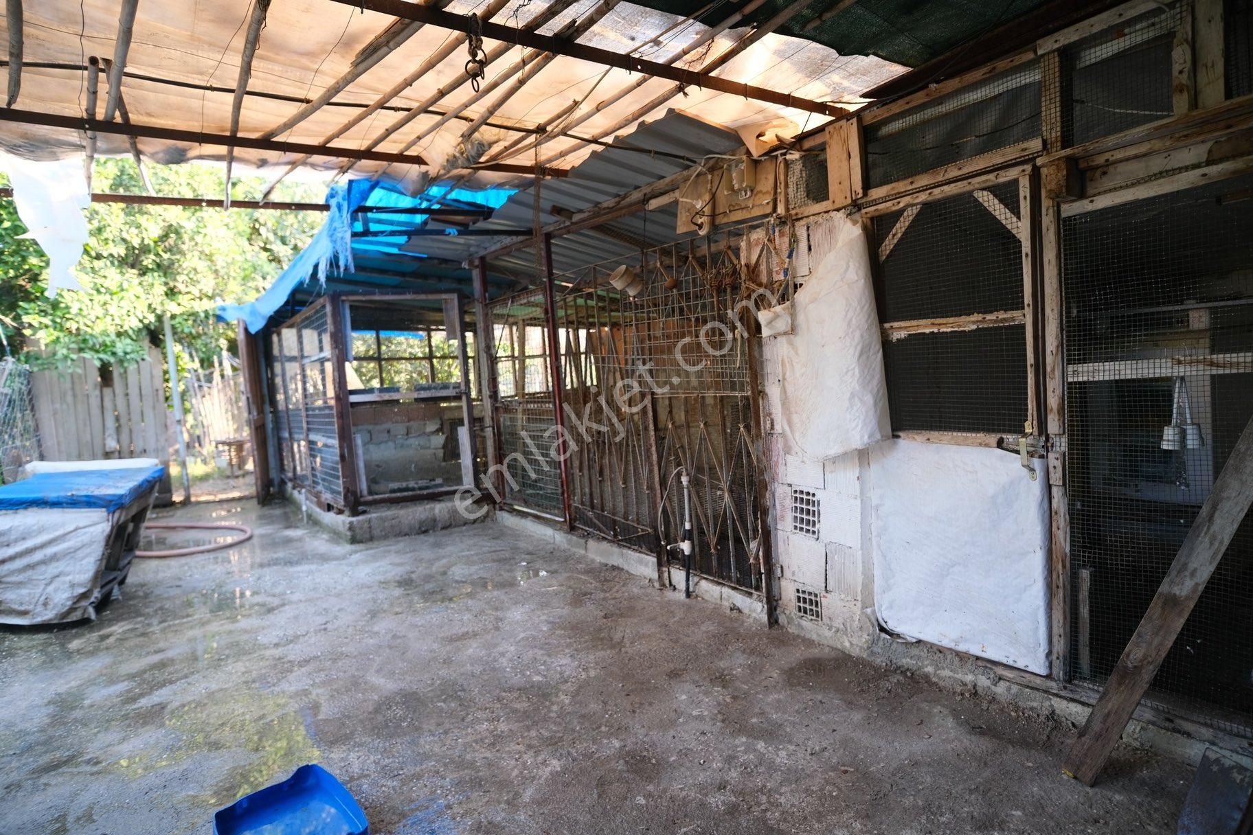 Portakal Bahçeleri İçinde Keyifli Bir Yaşam - Görsel 11