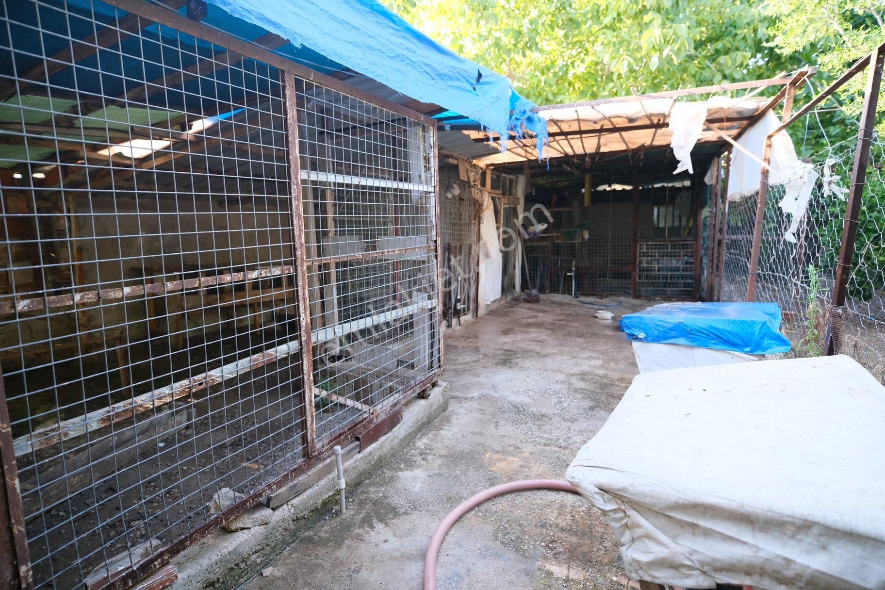 Portakal Bahçeleri İçinde Keyifli Bir Yaşam - Görsel 13