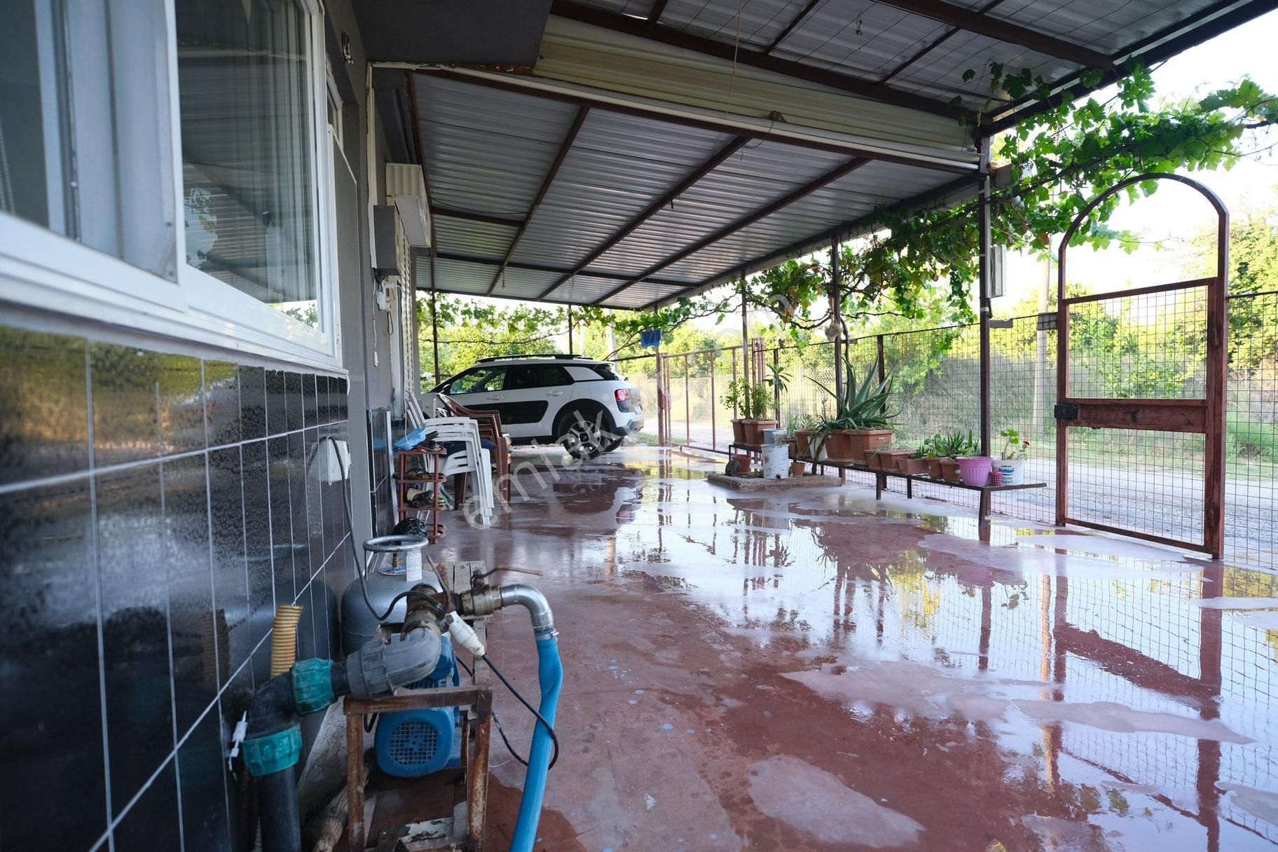 Portakal Bahçeleri İçinde Keyifli Bir Yaşam - Görsel 4