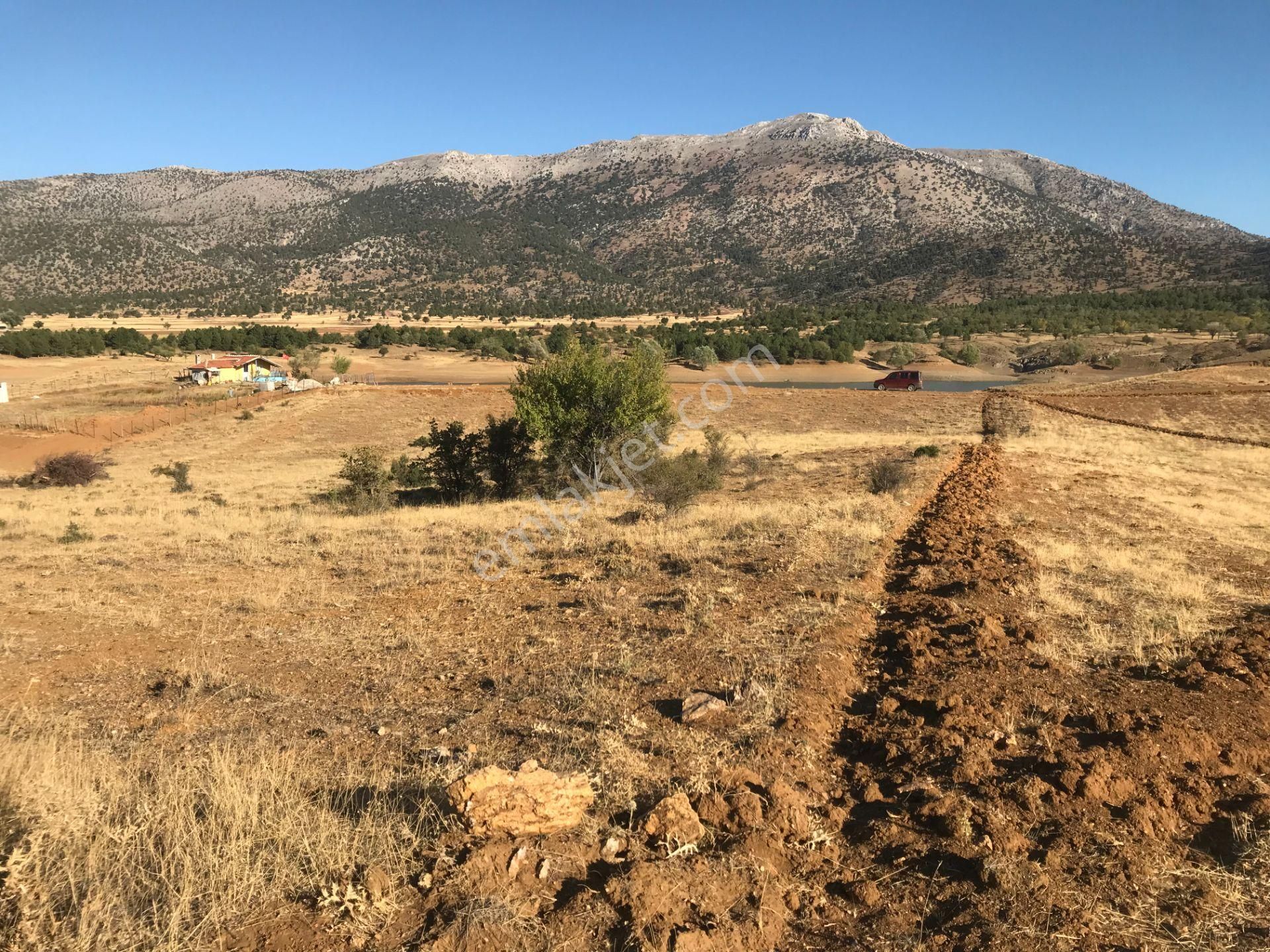 Tavas Yoran Yaylasında Gölete 100 Mt Yatırımlık Hobi Bahçesi - Görsel 3