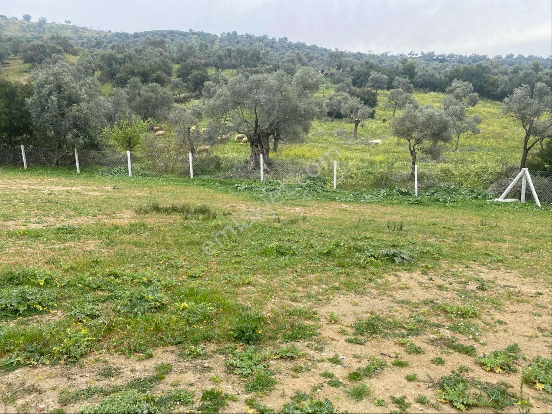 Bayındır Pınarlı Mah İmarlı Satılık Arsa - Görsel 7