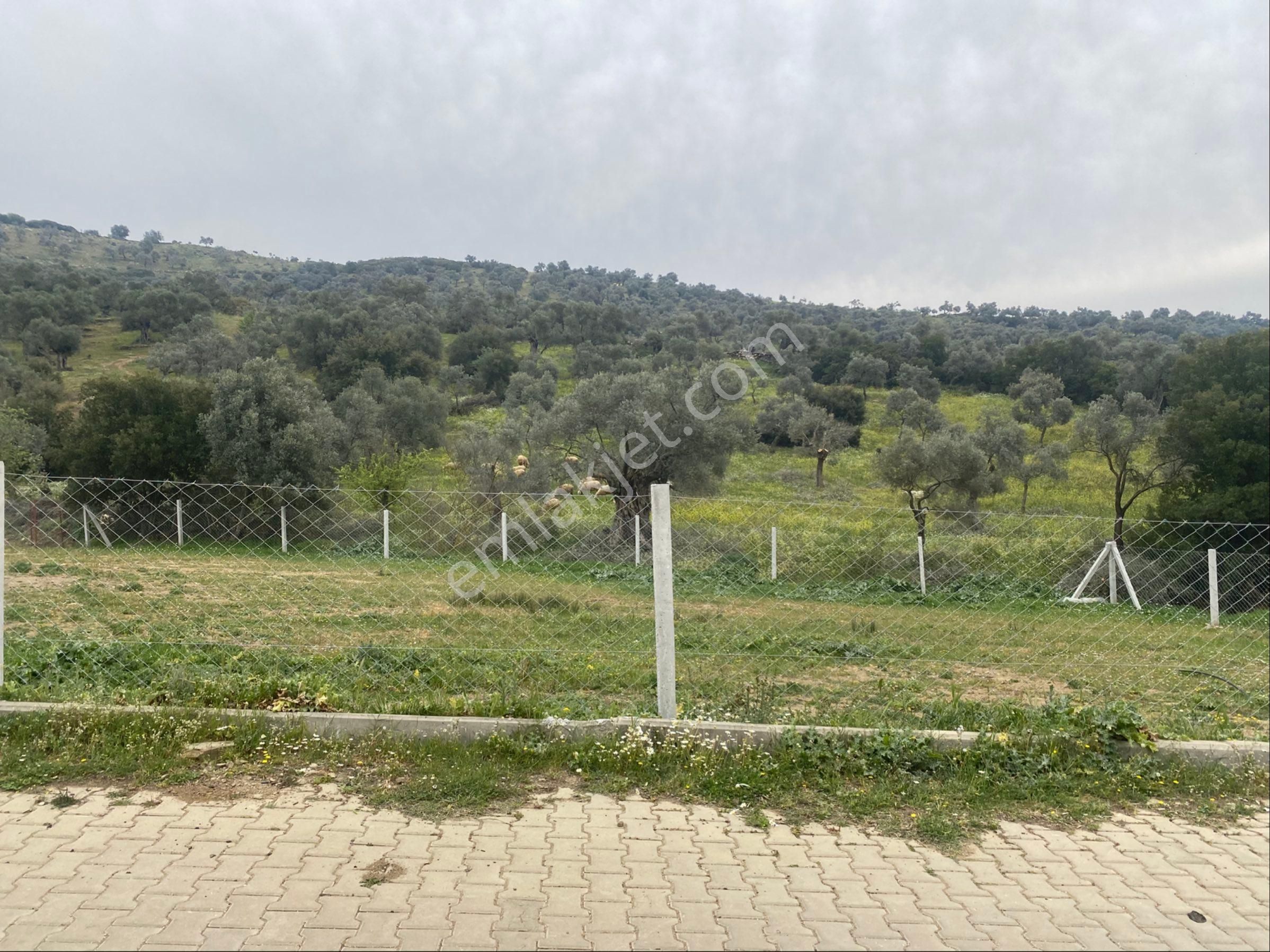 Bayındır Pınarlı Mah İmarlı Satılık Arsa - Görsel 5