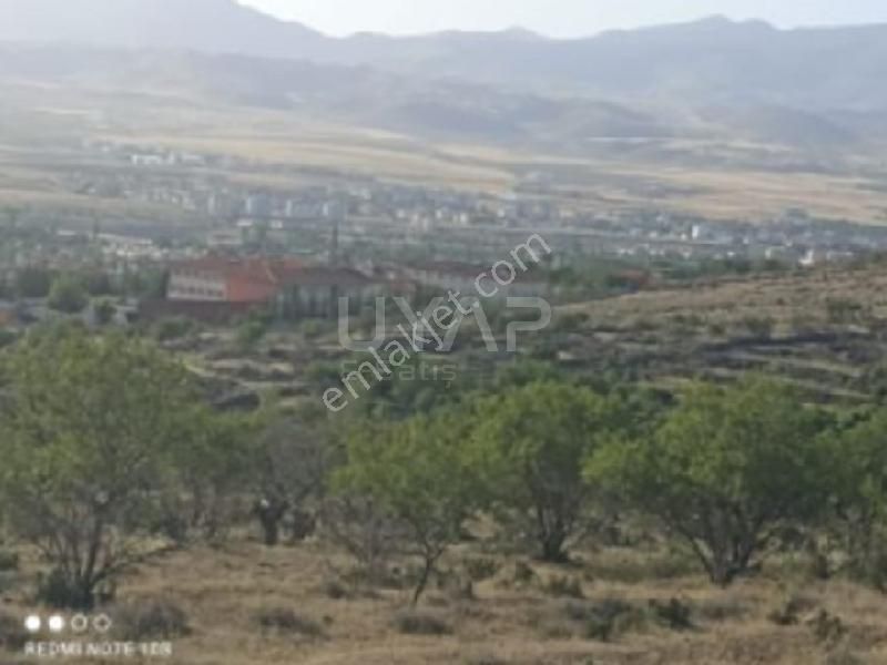 Sahibinden Develi Güneyyukarı Mahallesinde Tek Tapu 2044 M Bağ