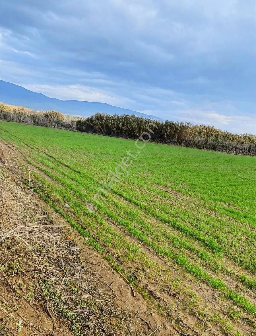 Akyörük Gayrimenkulden Satılık Tarım Arazisi Toki Mahallesinde - Görsel 11
