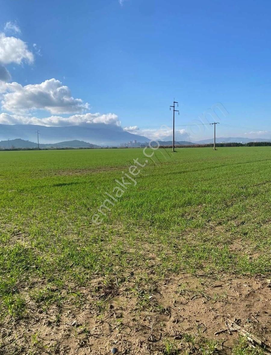 Akyörük Gayrimenkulden Satılık Tarım Arazisi Toki Mahallesinde - Görsel 3