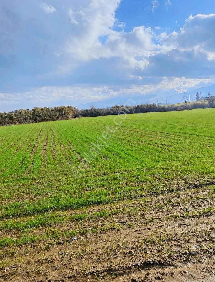 Akyörük Gayrimenkulden Satılık Tarım Arazisi Toki Mahallesinde - Görsel 10