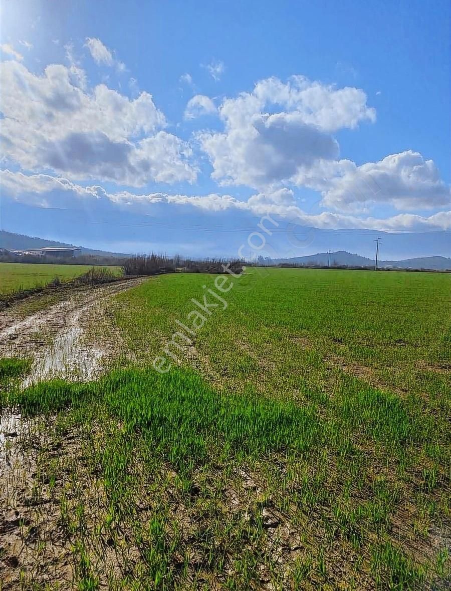 Akyörük Gayrimenkulden Satılık Tarım Arazisi Toki Mahallesinde - Görsel 2