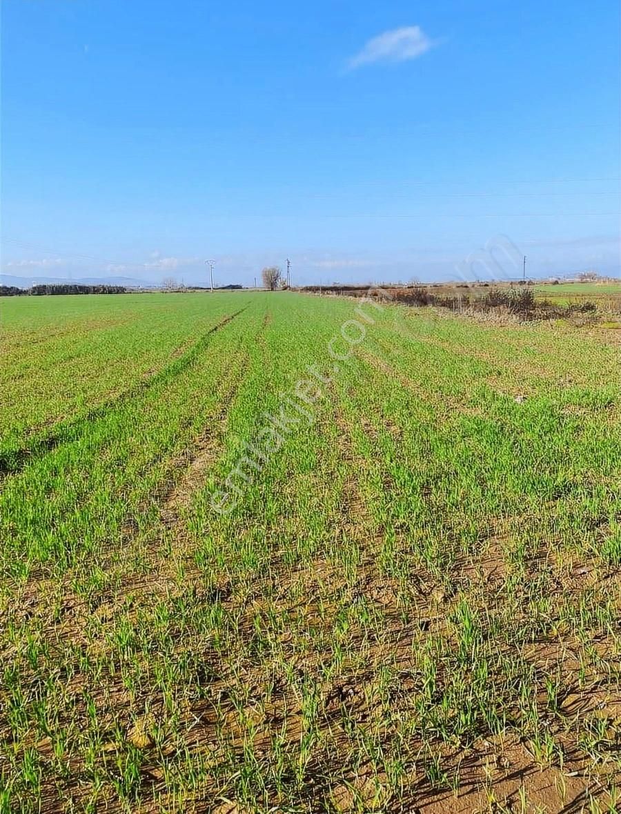 Akyörük Gayrimenkulden Satılık Tarım Arazisi Toki Mahallesinde - Görsel 6