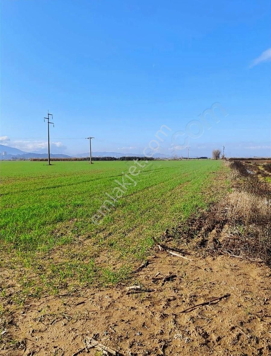 Akyörük Gayrimenkulden Satılık Tarım Arazisi Toki Mahallesinde - Görsel 13