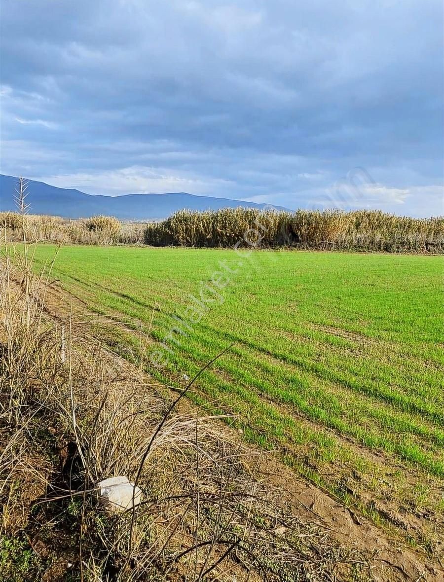 Akyörük Gayrimenkulden Satılık Tarım Arazisi Toki Mahallesinde - Görsel 16