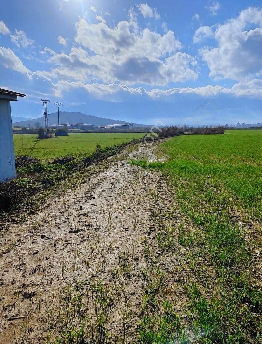 Akyörük Gayrimenkulden Satılık Tarım Arazisi Toki Mahallesinde - Görsel 9