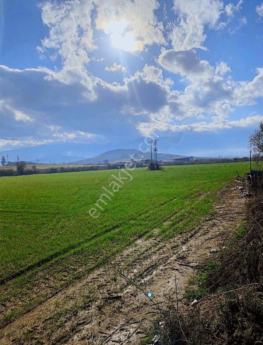 Akyörük Gayrimenkulden Satılık Tarım Arazisi Toki Mahallesinde - Görsel 5