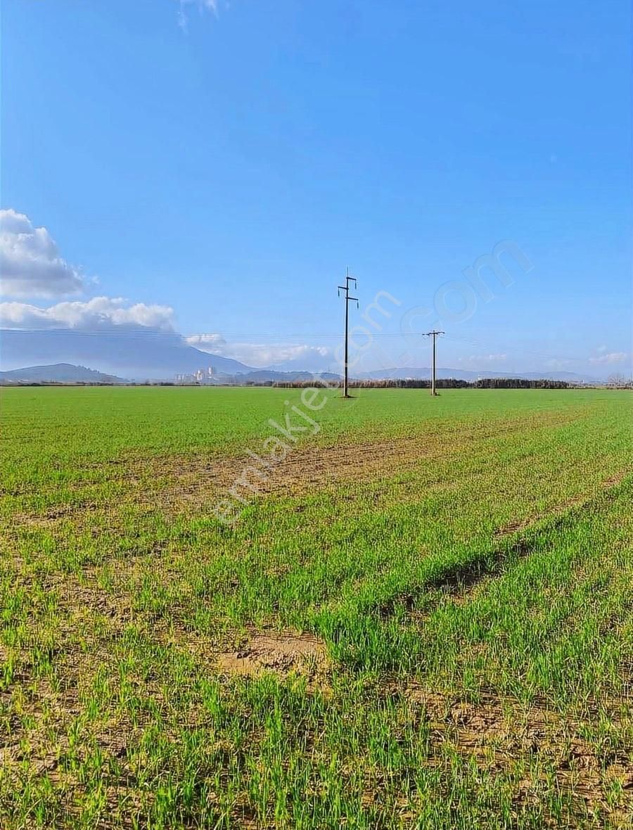 Akyörük Gayrimenkulden Satılık Tarım Arazisi Toki Mahallesinde - Görsel 4