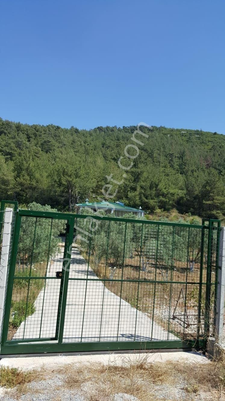 Kuşadası Merkeze Yakın Satılık Çiftlik - Görsel 12