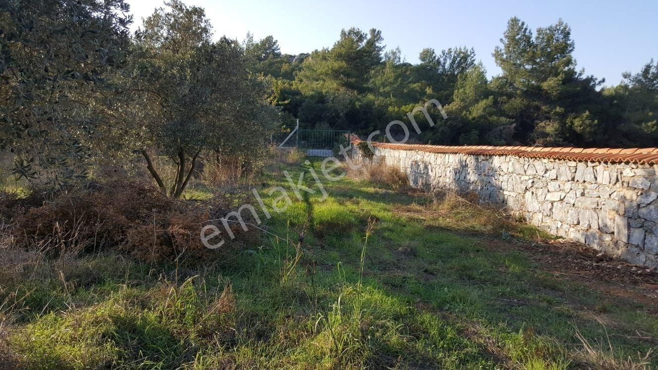 Kuşadası Merkeze Yakın Satılık Çiftlik - Görsel 11