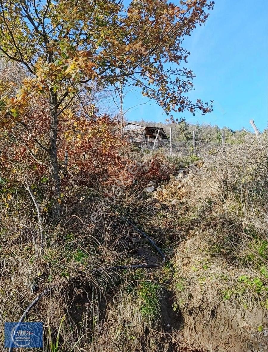 Enka'dan İznik Göllücede 3051m2 Göl Manzaralı Tarla - Görsel 7