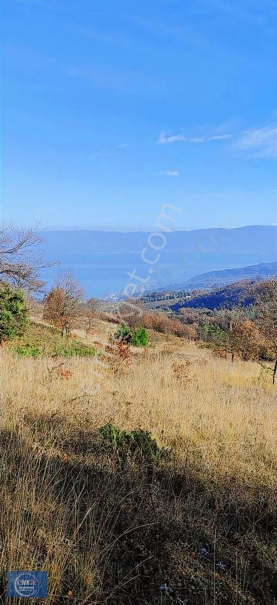 Enka'dan İznik Göllücede 3051m2 Göl Manzaralı Tarla - Görsel 5