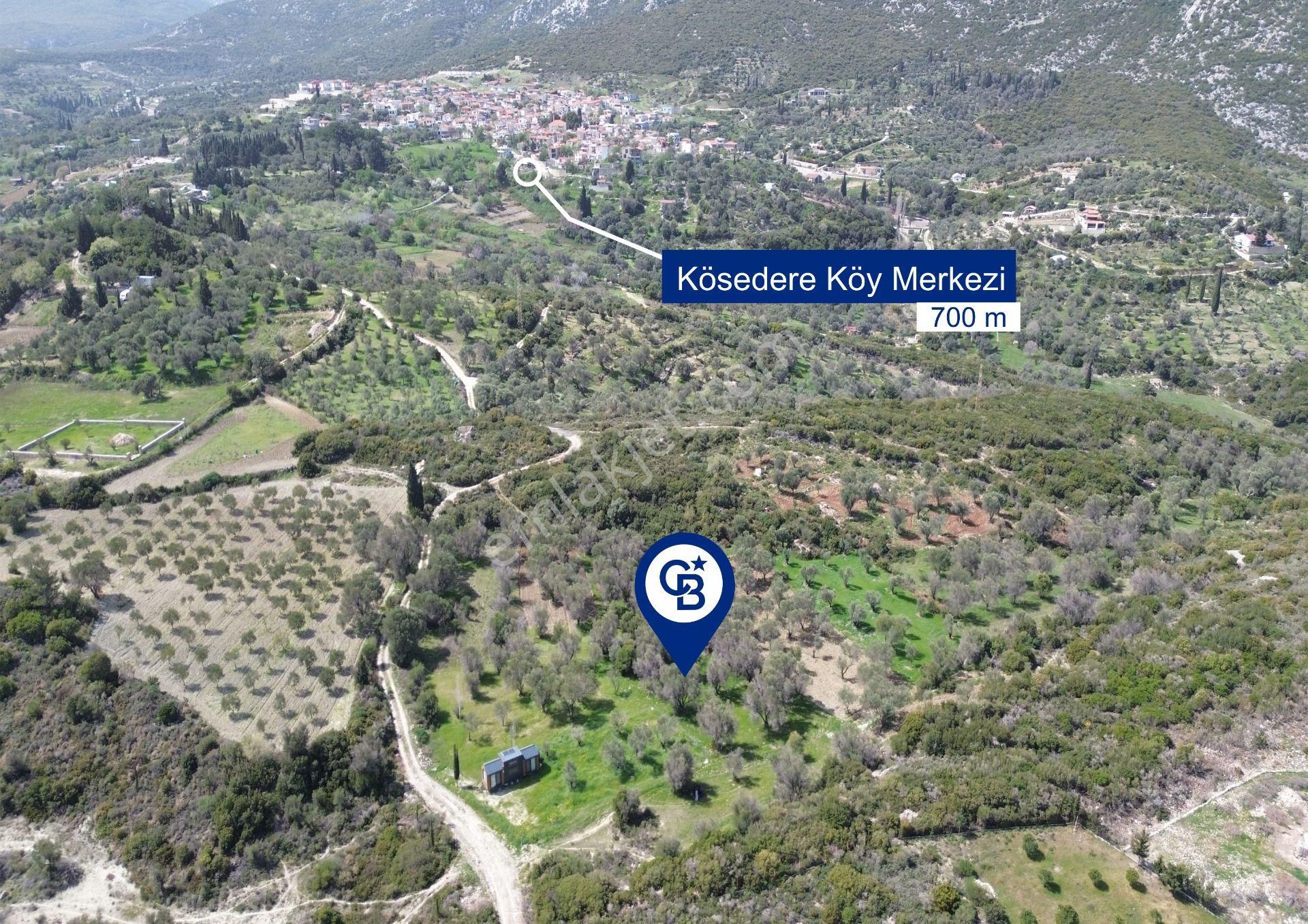 Karaburun Kösedere Mahallesi'nde 1675 M2 Zeytin Ağaçlı Tarla - Görsel 4