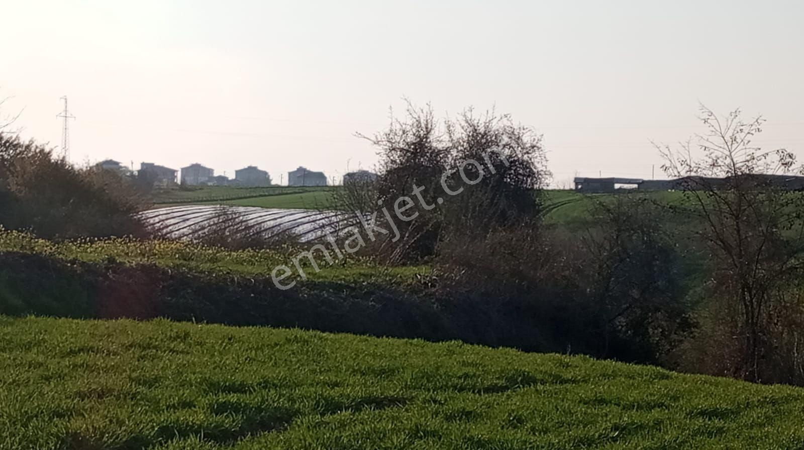 Bafra Toki Bölgesinde İmar Sınırında Yatırımlık Tarla - Görsel 7