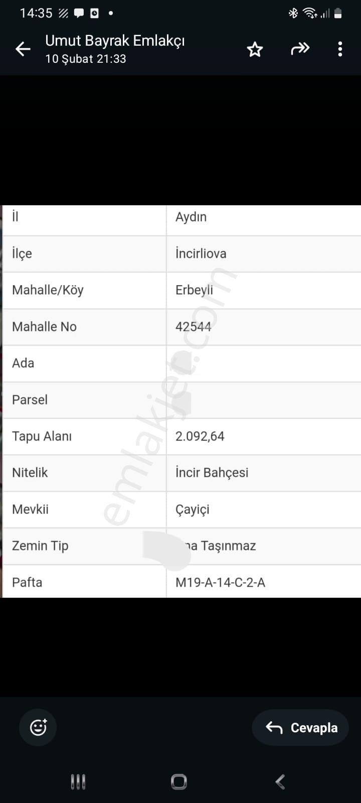 Aydın Erbeyli'de Satılık İncir Bahçesi - Görsel 2