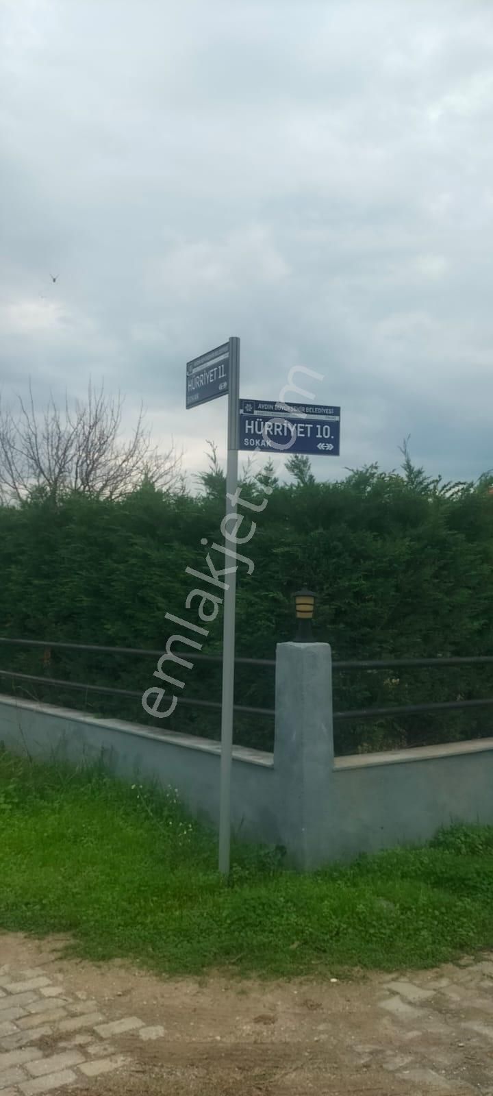 Aydın Erbeyli'de Satılık İncir Bahçesi - Görsel 3