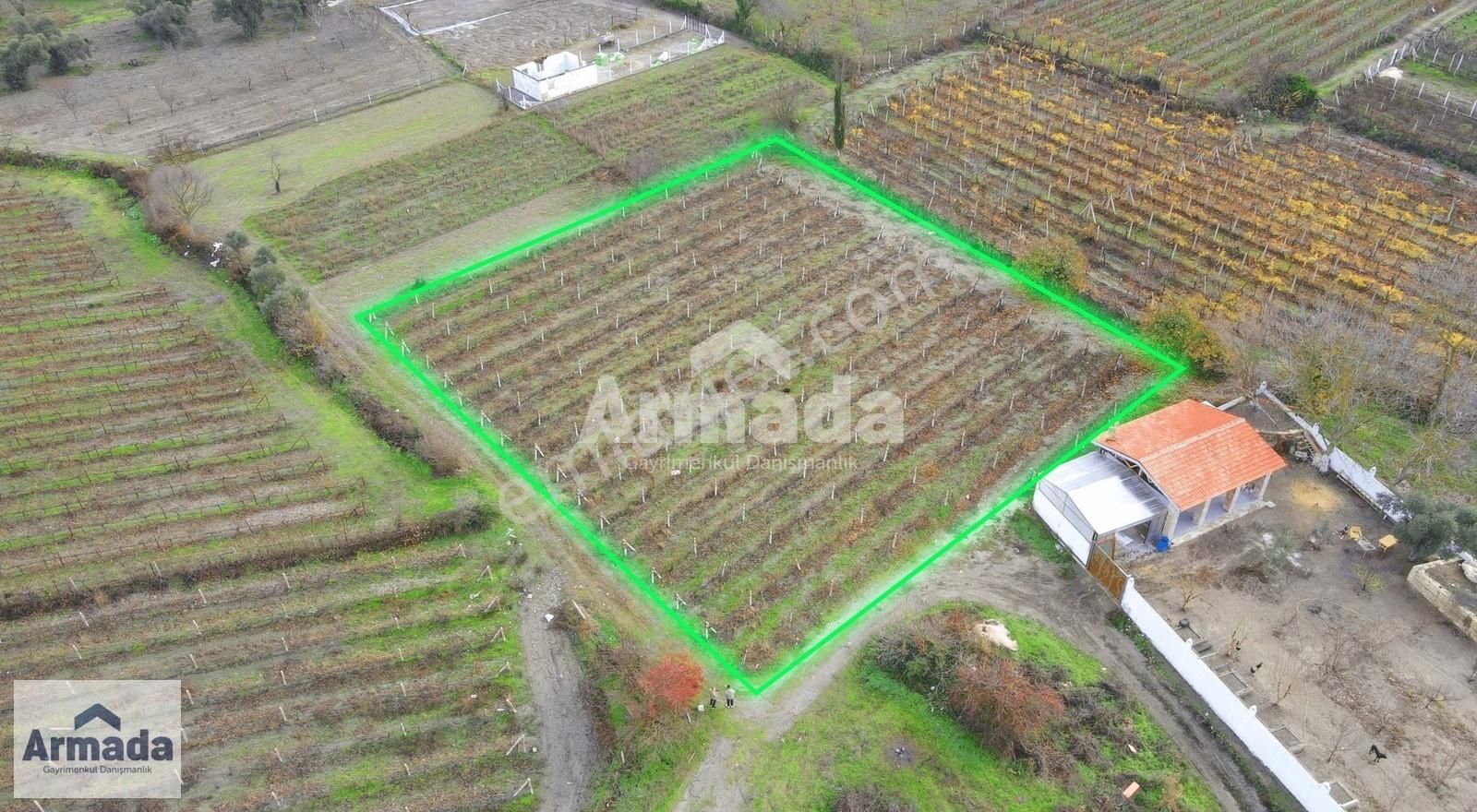 Kuşadası Merkeze 10 Km Mesafede Kirazlı Köy İçi Tek Tapu Bahçe - Görsel 2