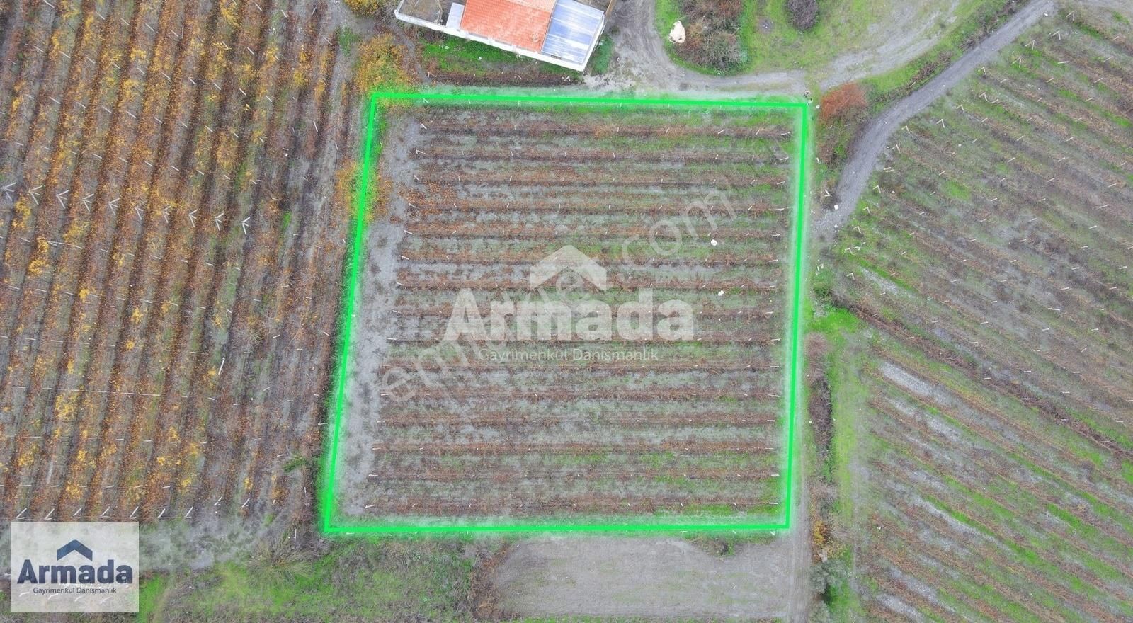 Kuşadası Merkeze 10 Km Mesafede Kirazlı Köy İçi Tek Tapu Bahçe - Görsel 5