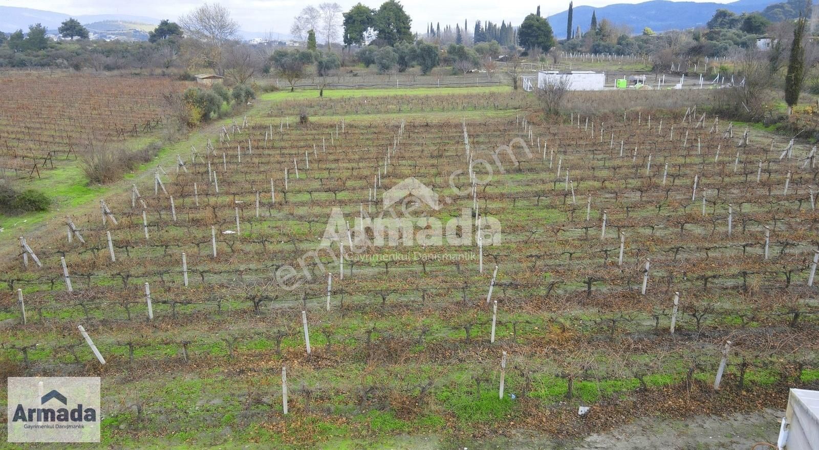 Kuşadası Merkeze 10 Km Mesafede Kirazlı Köy İçi Tek Tapu Bahçe - Görsel 9