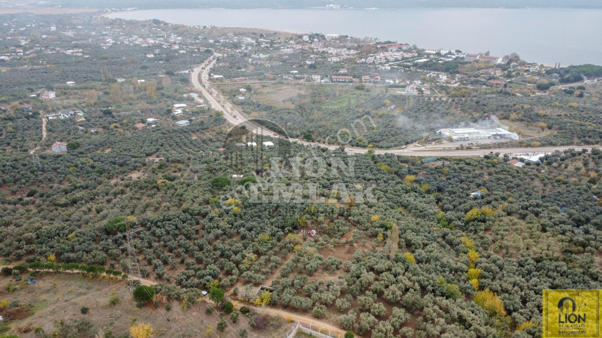 🟨⬛lıon Emlak'tan Erdek Çeltikçi Mahallesinde Kilise Sırtı Mevkiinde 4050m² Satılık Arazi⬛🟨 - Görsel 6