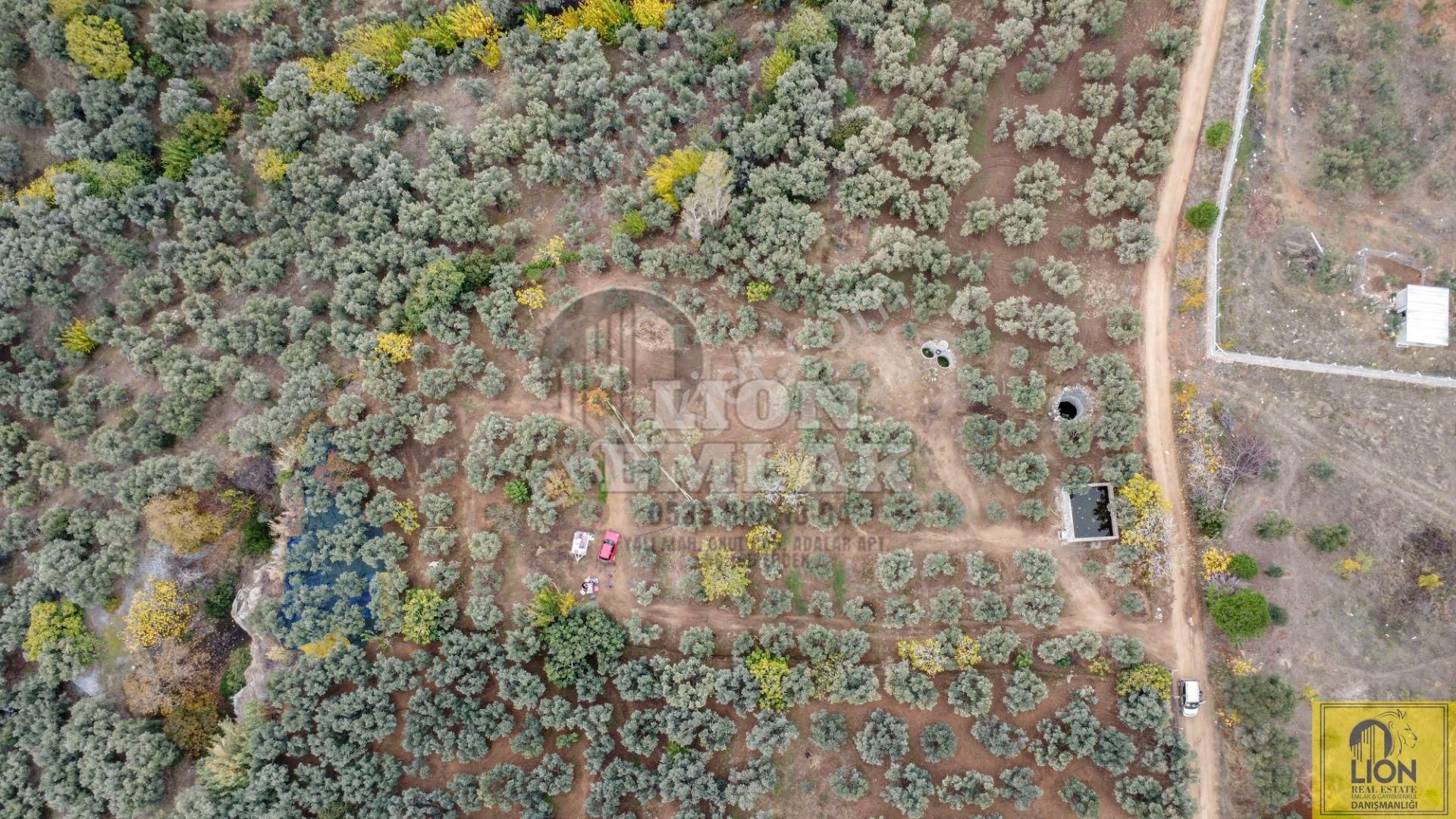 🟨⬛lıon Emlak'tan Erdek Çeltikçi Mahallesinde Kilise Sırtı Mevkiinde 4050m² Satılık Arazi⬛🟨 - Görsel 7