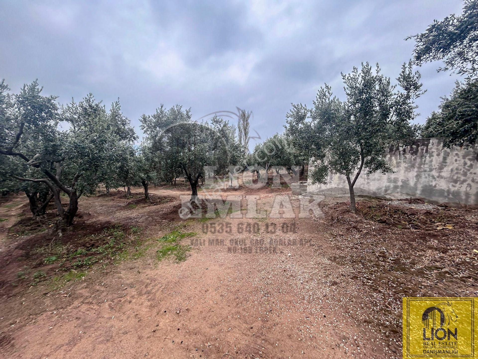 🟨⬛lıon Emlak'tan Erdek Çeltikçi Mahallesinde Kilise Sırtı Mevkiinde 4050m² Satılık Arazi⬛🟨 - Görsel 15