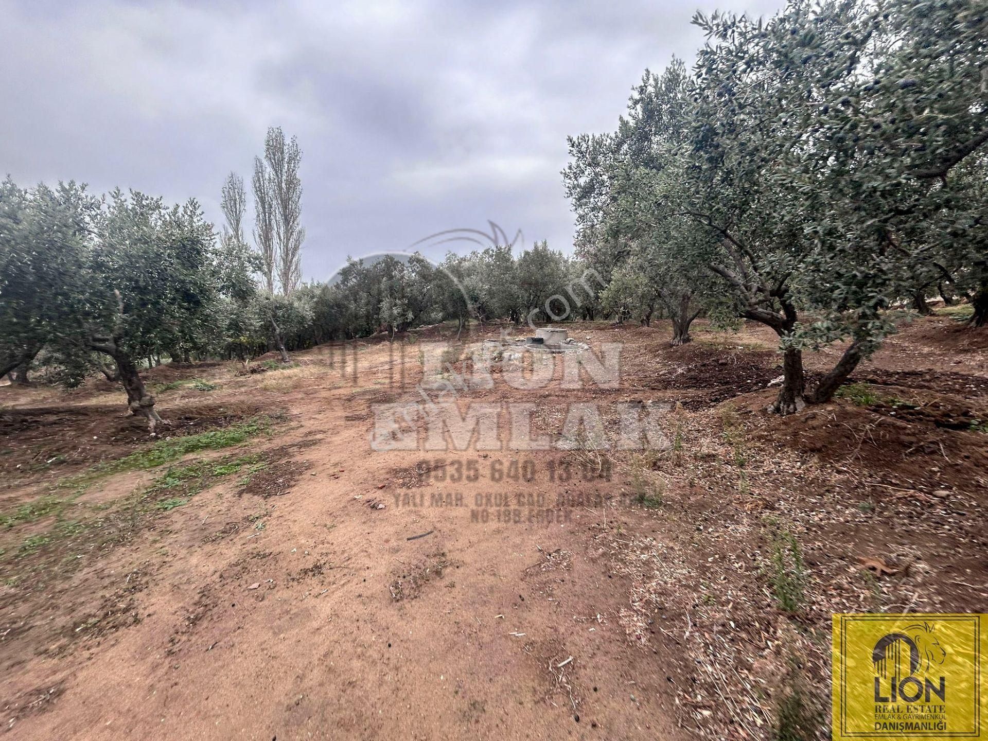 🟨⬛lıon Emlak'tan Erdek Çeltikçi Mahallesinde Kilise Sırtı Mevkiinde 4050m² Satılık Arazi⬛🟨 - Görsel 14