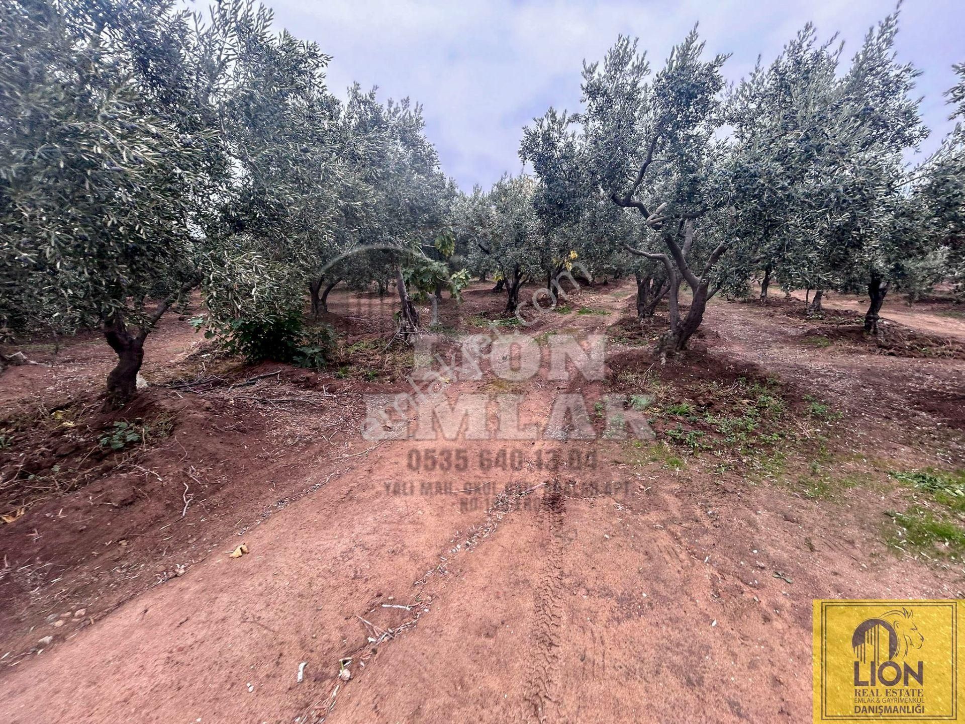 🟨⬛lıon Emlak'tan Erdek Çeltikçi Mahallesinde Kilise Sırtı Mevkiinde 4050m² Satılık Arazi⬛🟨 - Görsel 17
