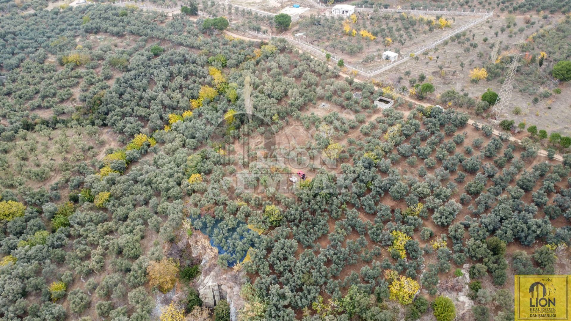 🟨⬛lıon Emlak'tan Erdek Çeltikçi Mahallesinde Kilise Sırtı Mevkiinde 4050m² Satılık Arazi⬛🟨 - Görsel 23