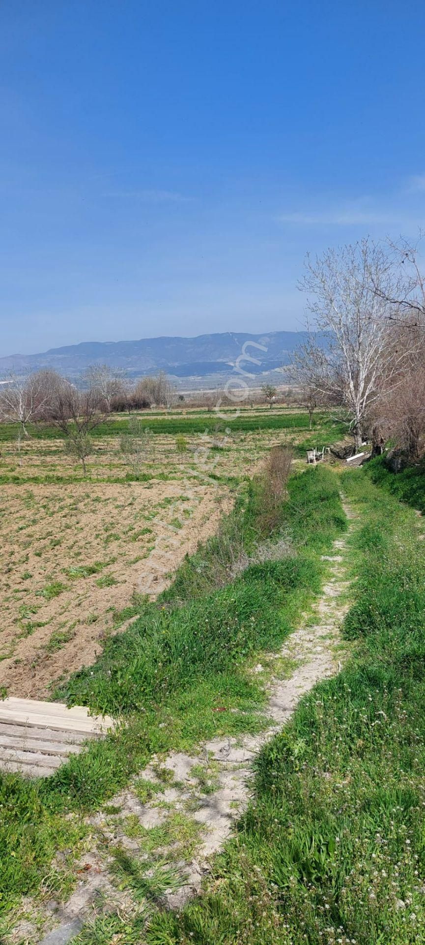 Denizli Goncalı Mahallesinde Sahibinden Satılık 13500 Mt Tarla - Görsel 5
