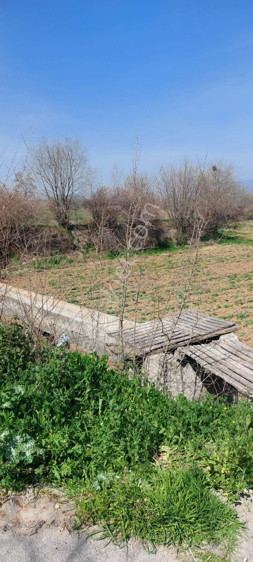 Denizli Goncalı Mahallesinde Sahibinden Satılık 13500 Mt Tarla - Görsel 7